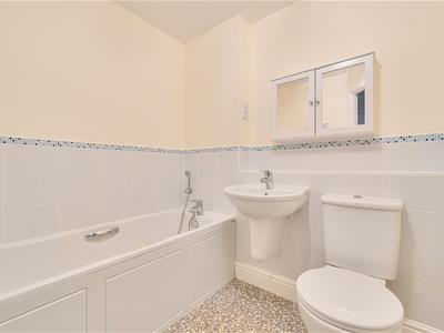 Picture 8